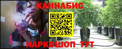 гашик Краснознаменск