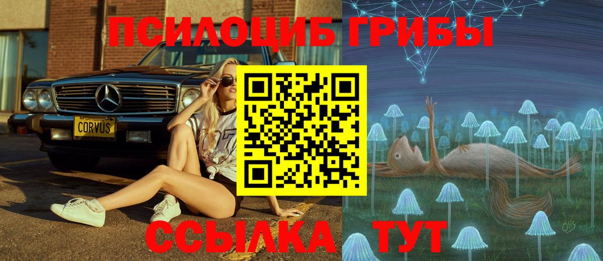 Псилоцибиновые грибы Psilocybe  Вход с VPN  Кубинка 